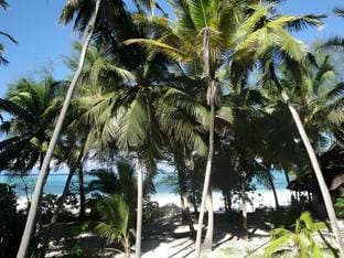 Panga Chumvi Beach Resort Hotel in Unguja North Region