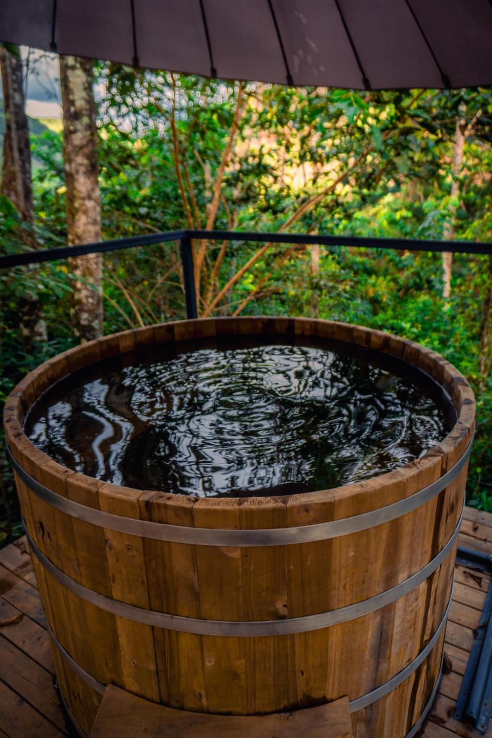 Silvery Refugio Natural Hotel in Antioquia