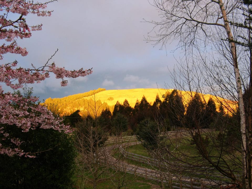 Whakaipo Lodge Lodge in Taupo