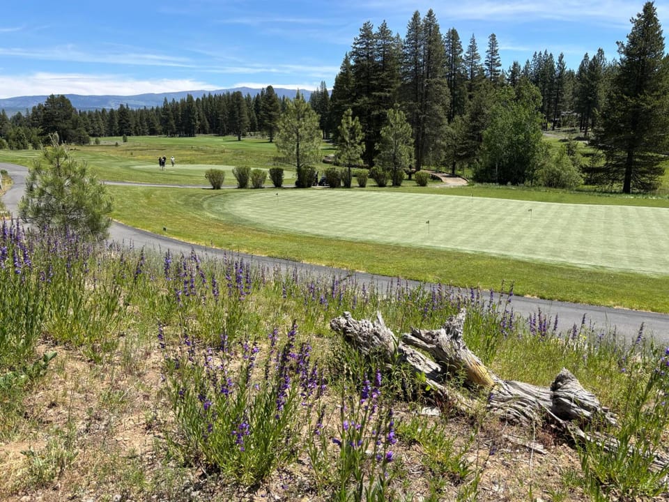 Tahoe Star Hotel Hotel in Truckee