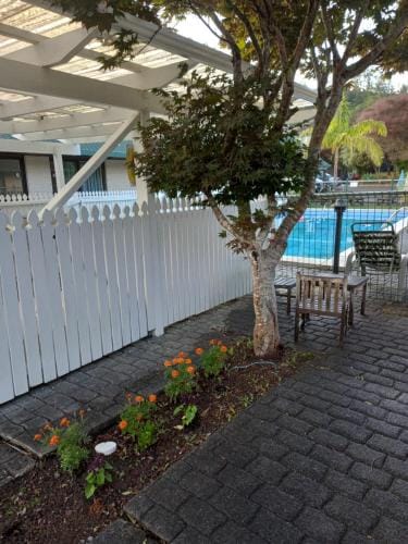 Pinelodge Hotel in Northland