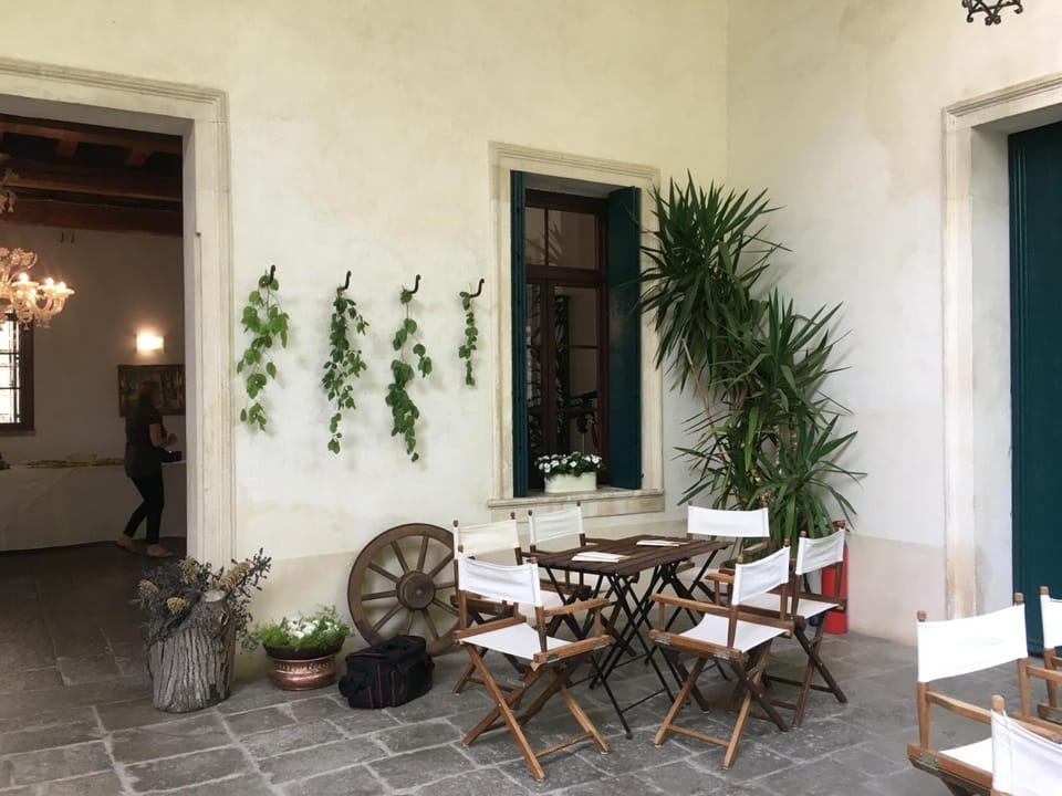Agriturismo Barchessa Hotel in Veneto