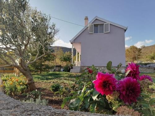 Rooms with a parking space Kijevo, Zagora - 22243 Hotel in Šibenik-Knin County, Croatia