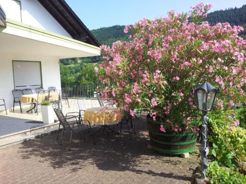 Ferienweingut-Liebfried Hotel in Ediger-Eller