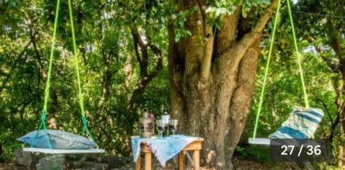 Teques relax y naturaleza Hotel in State of Morelos