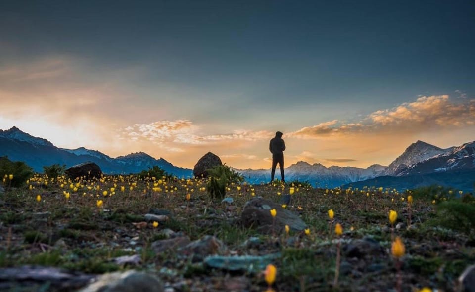 Tololing Eco Resort Drass	 Hotel in India