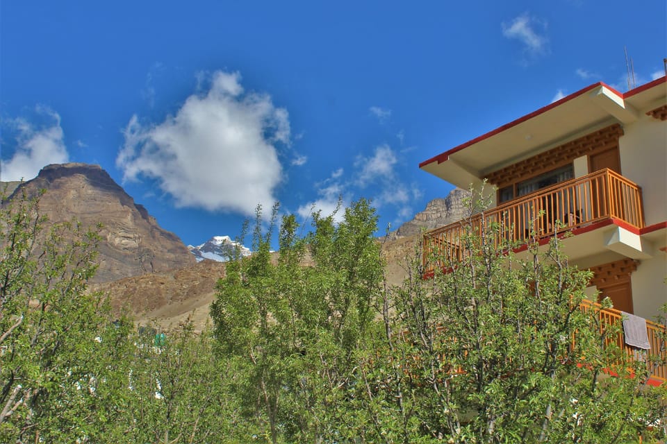 View