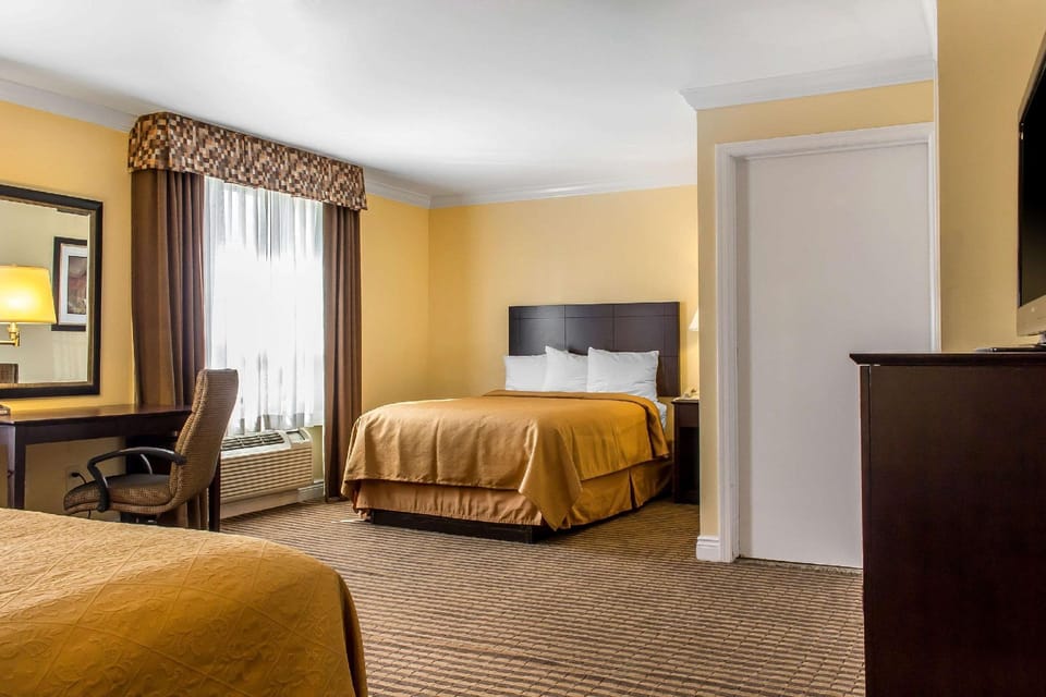 Suite room