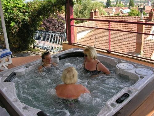La Cadanise, Suite du Parc Hotel in Auvergne-Rhône-Alpes