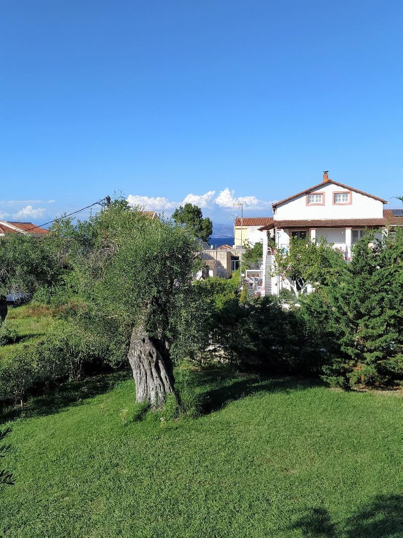 Ever Green Hotel in Corfu, Greece