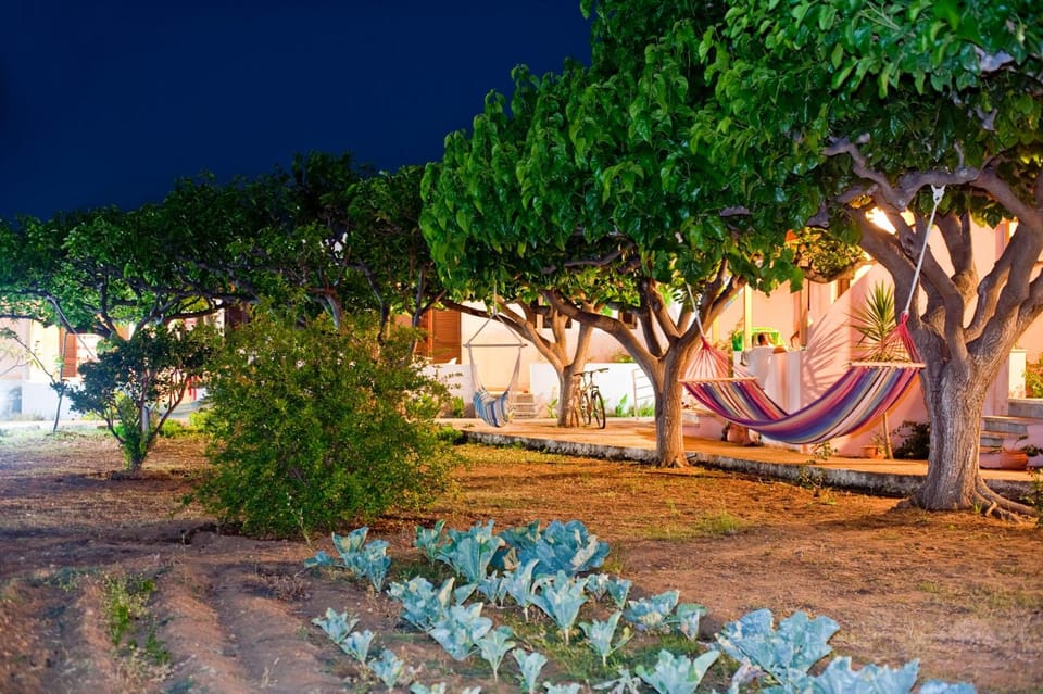 Dolphin Apartments Hotel in Crete