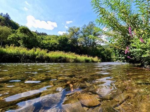Taos Single - Camping Du Nord Lodge in Luxembourg