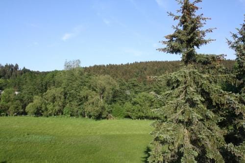 Gasthof Hoppe Hotel in Hochsauerlandkreis
