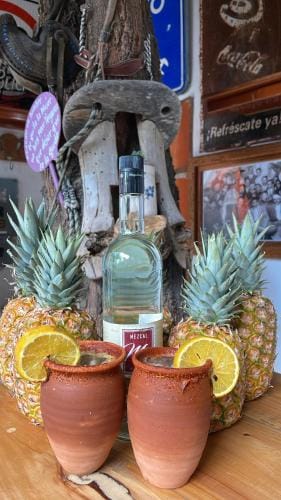 Huerta Don Felipe Hotel in State of Mexico