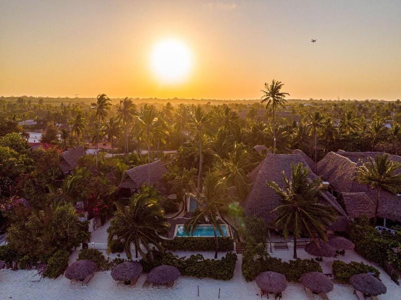 Zoi Boutique Hotel Zanzibar Resort in Matemwe