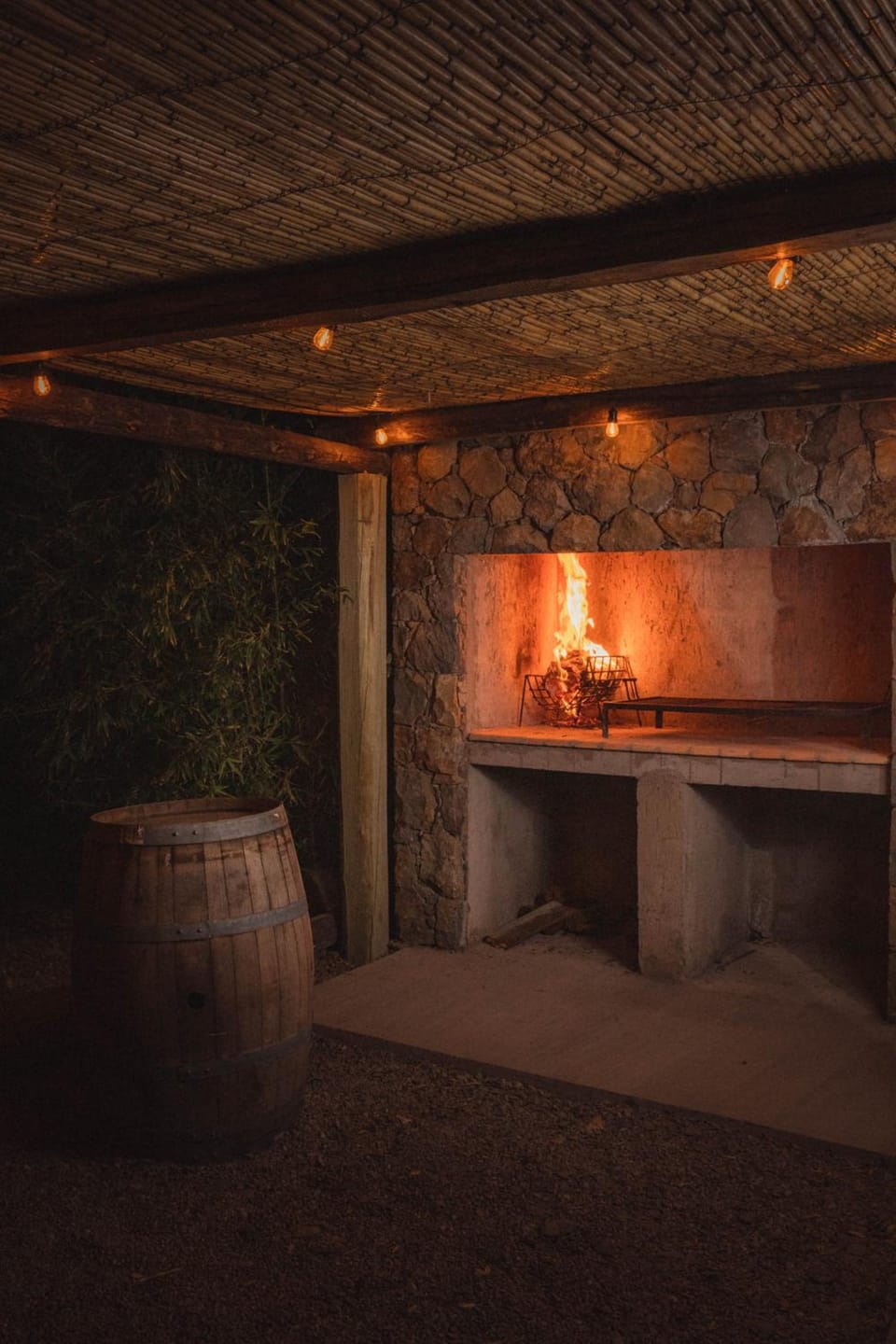 Posada Mawida Hotel in Mendoza Province Province