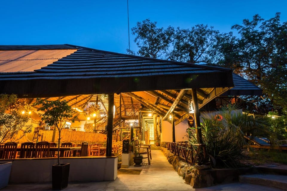 Pezulu Tree House Lodge Lodge in South Africa
