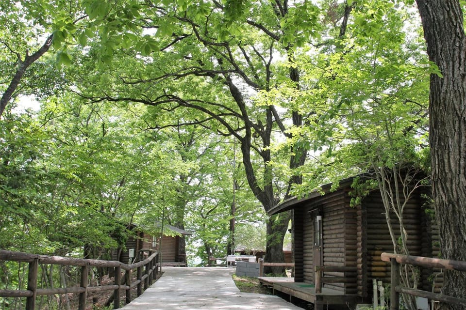 Surrounding environment