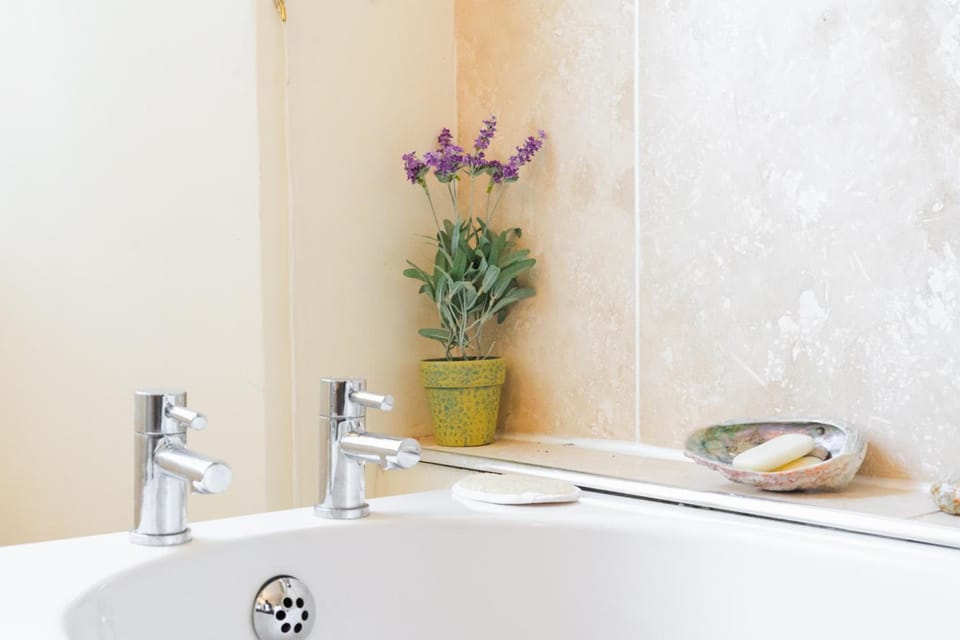 Hollamoor Farm Hotel in North Devon District