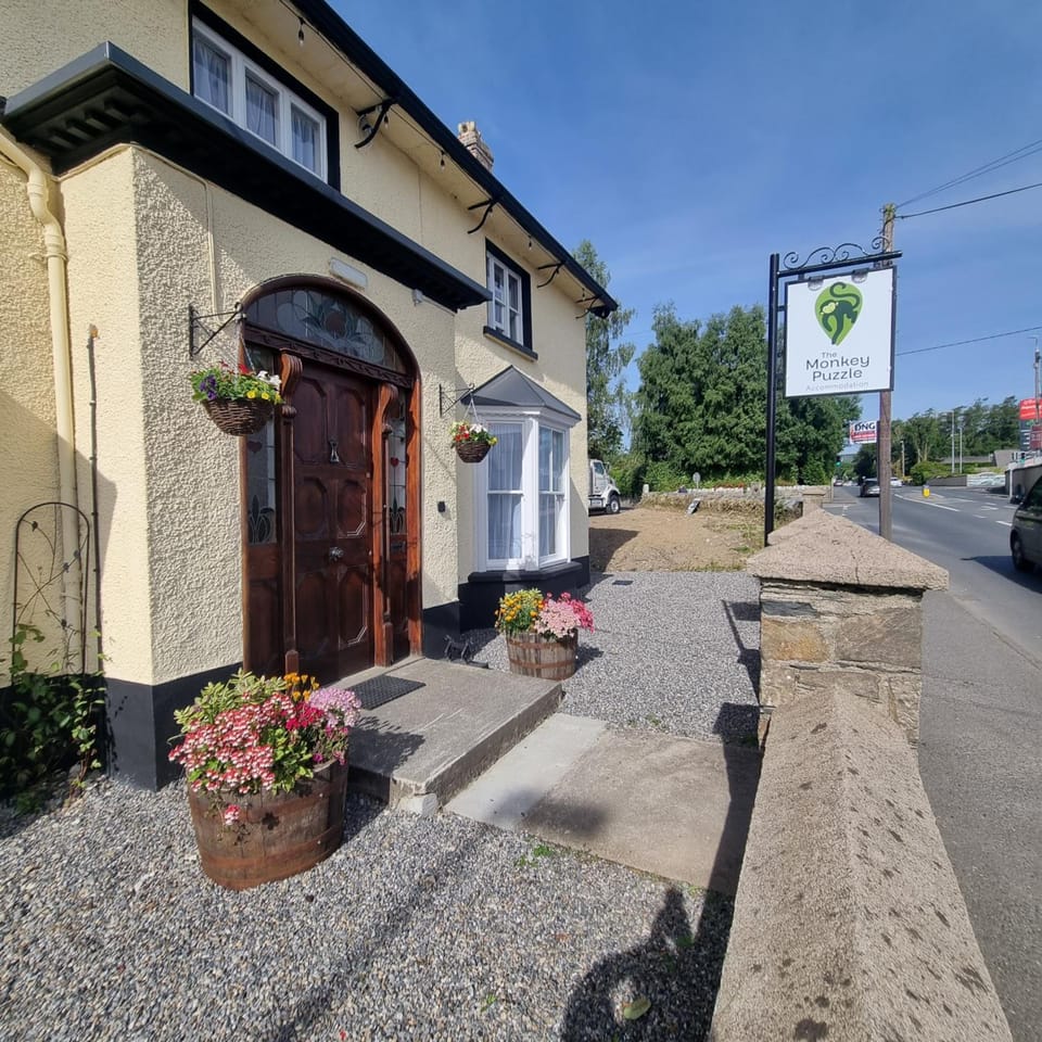 The Monkey Puzzle Hotel in Ireland