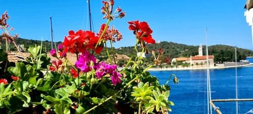 Bed & Breakfast Dionis Vis Hotel in Vis