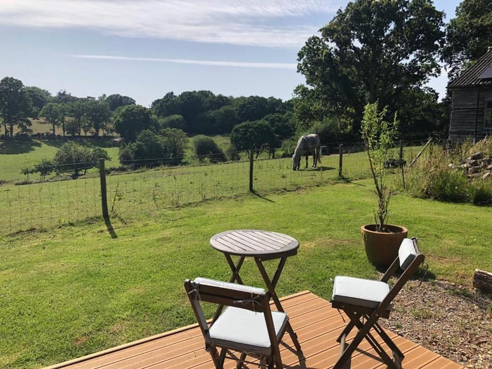 Luxury Shepherds Hut Lodge in Burley