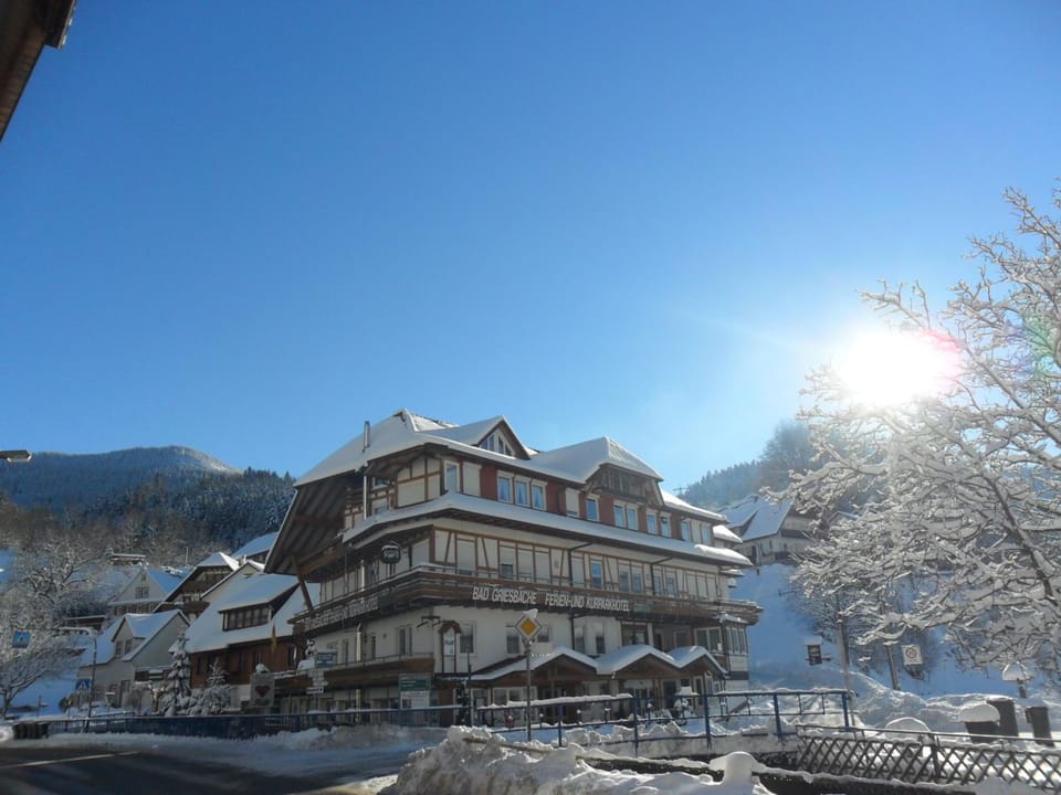 Kurparkhotel Faißt Hotel in Ortenau