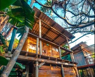 Mantis and Moon Backpackers and Surf Hostel Hostel in KwaZulu-Natal