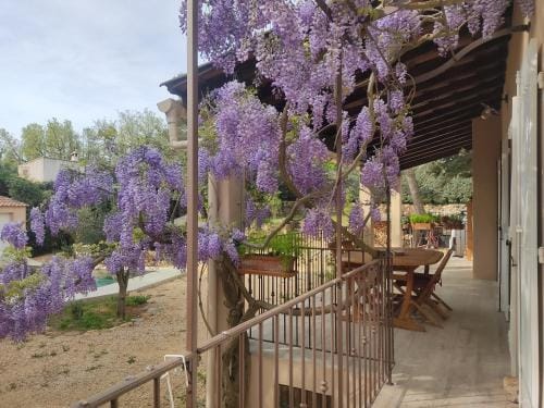 OLIVE & SAFRAN Hotel in Saint-Maximin-la-Sainte-Baume