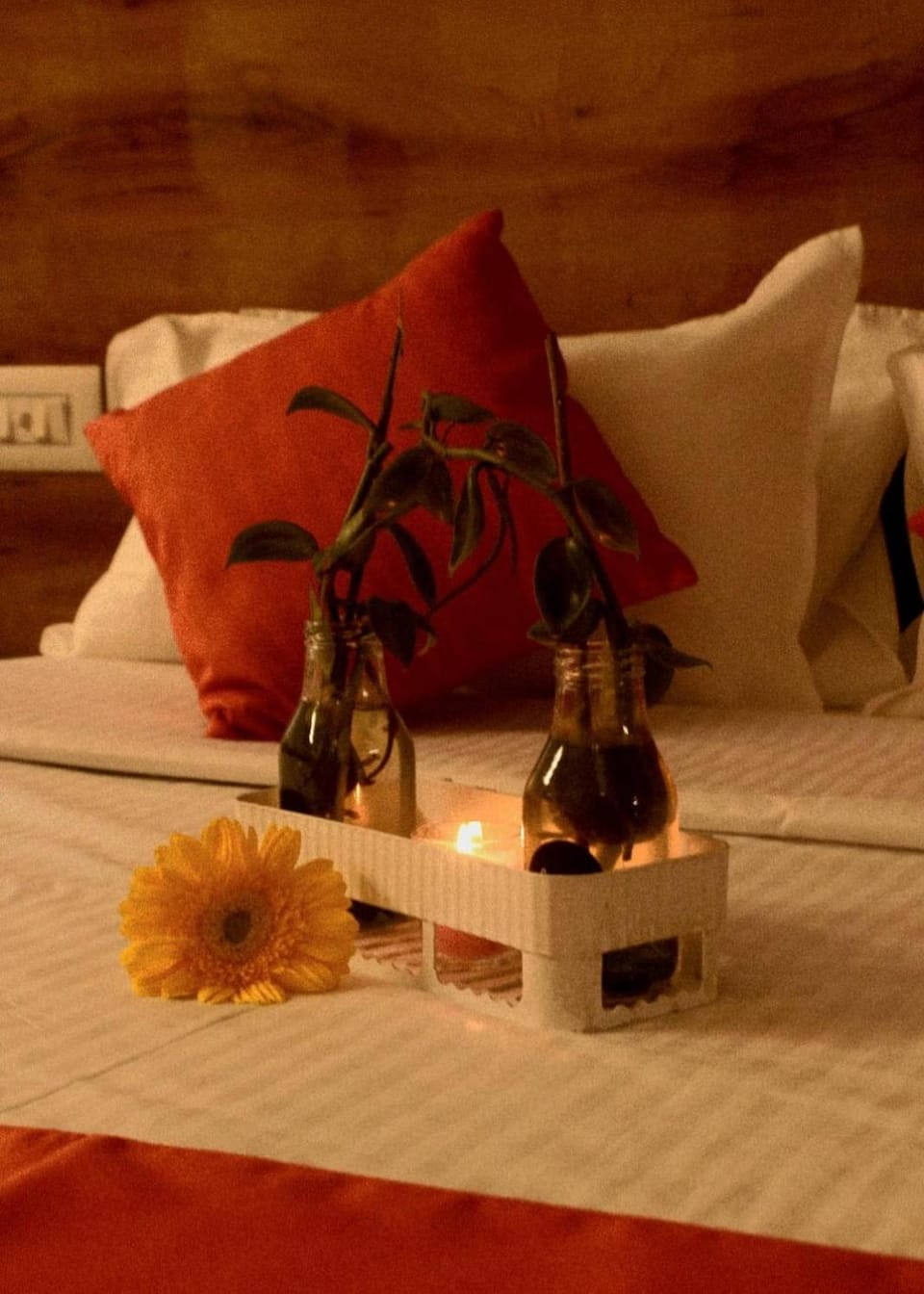 SAS Apartment Apartment hotel in Bengaluru