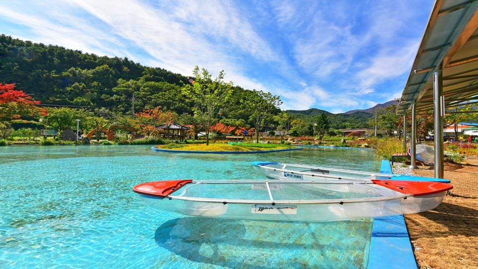 Samcheok Maze Garden Pension Hotel in South Korea