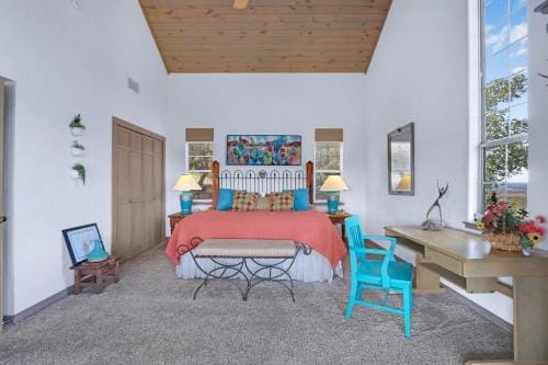 White Buffalo - Guest House Hotel in Wimberley