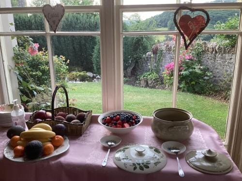 Bryn Guest House Hotel in Wales