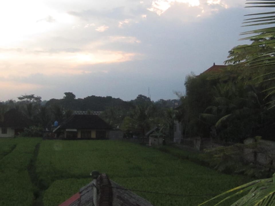 Purnama di Bisma Hotel in Ubud