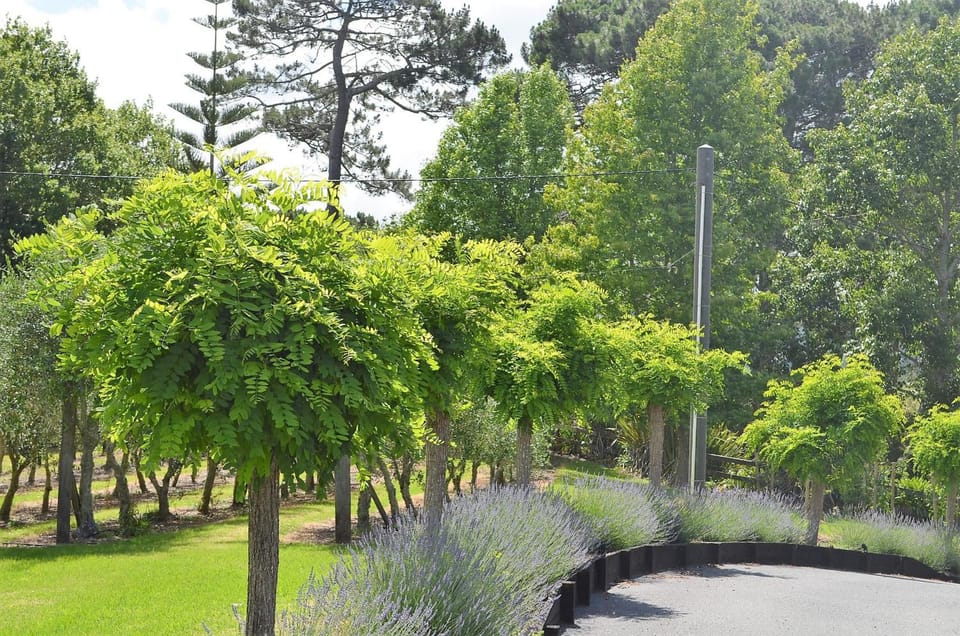 Lavender Hill Hotel in Auckland