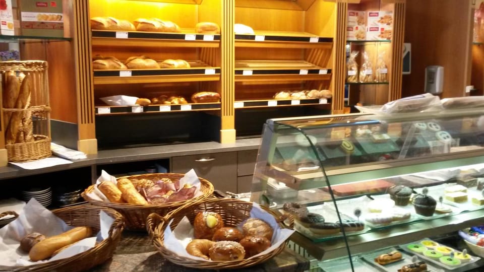 Le Merle Chatelain Hotel in Sion