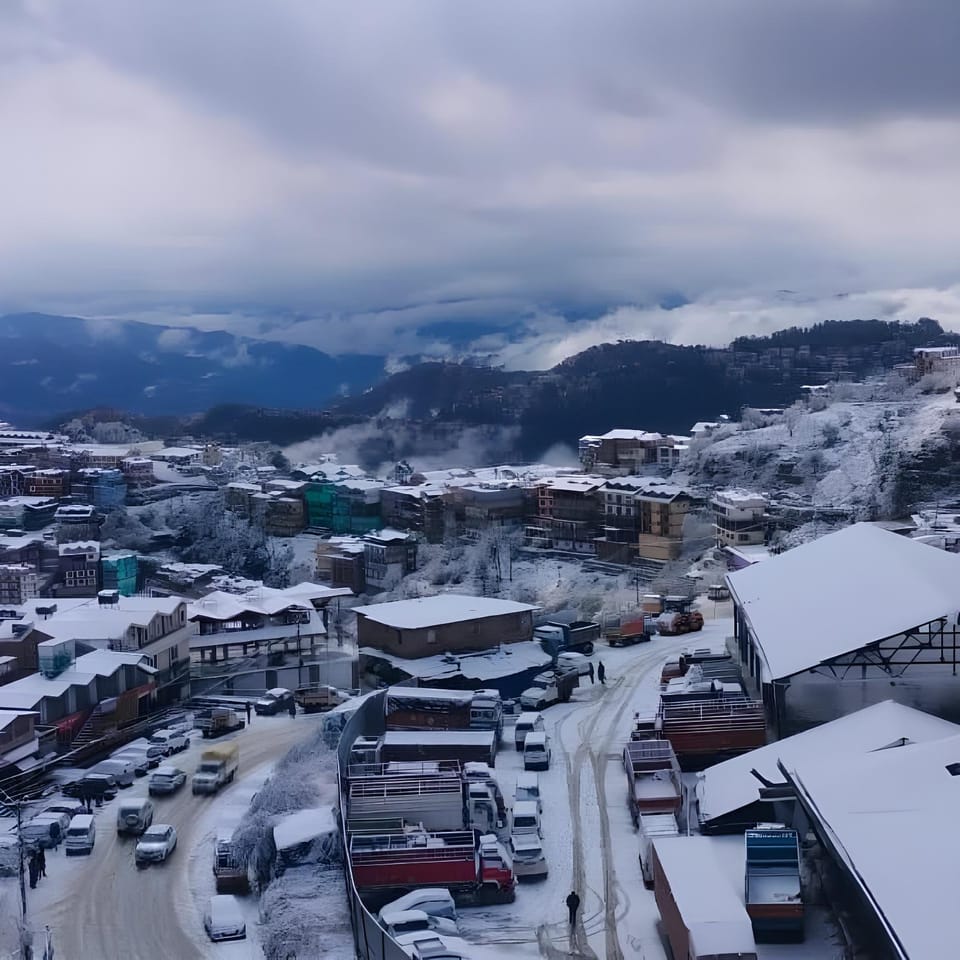 View
