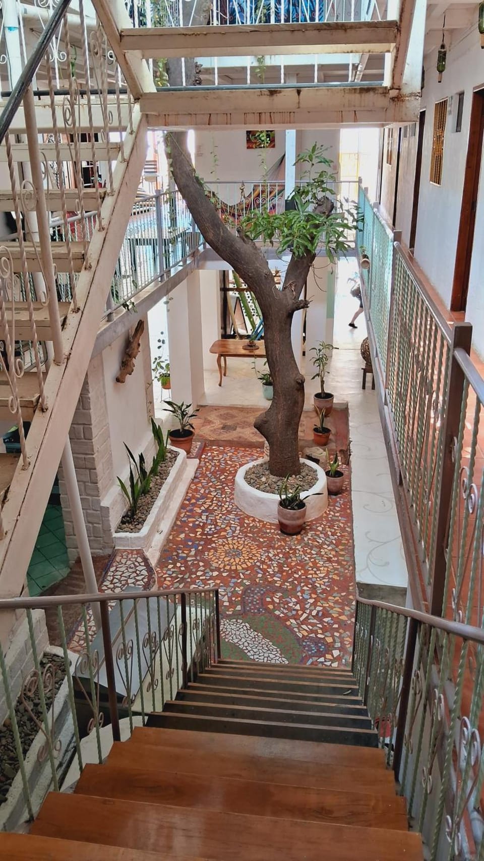 Casa Oro Eco Hostel Hostel in San Juan del Sur