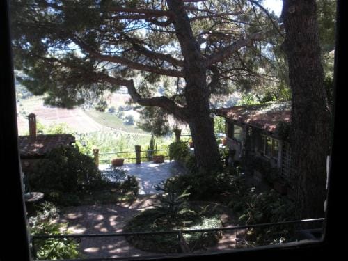 B&B Ippolito Hotel in Orvieto