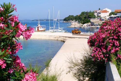 Apartments and rooms by the sea Brodarica, Sibenik - 15466 Hotel in Šibenik-Knin County, Croatia