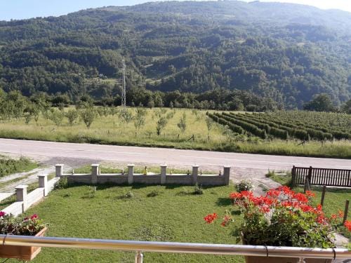 Vuceljic rooms Hotel in Montenegro