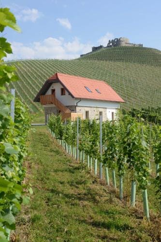 Weingut Taggenbrunn Hotel in Carinthia, Austria