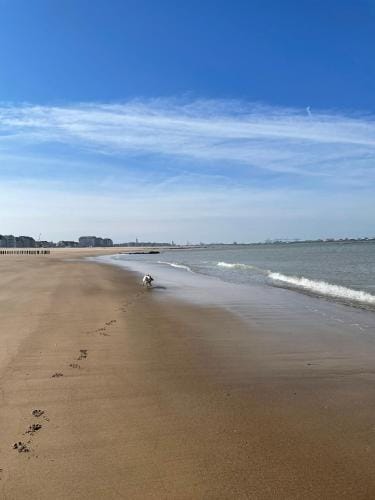 Hotel De Backer Hotel in Knokke-Heist