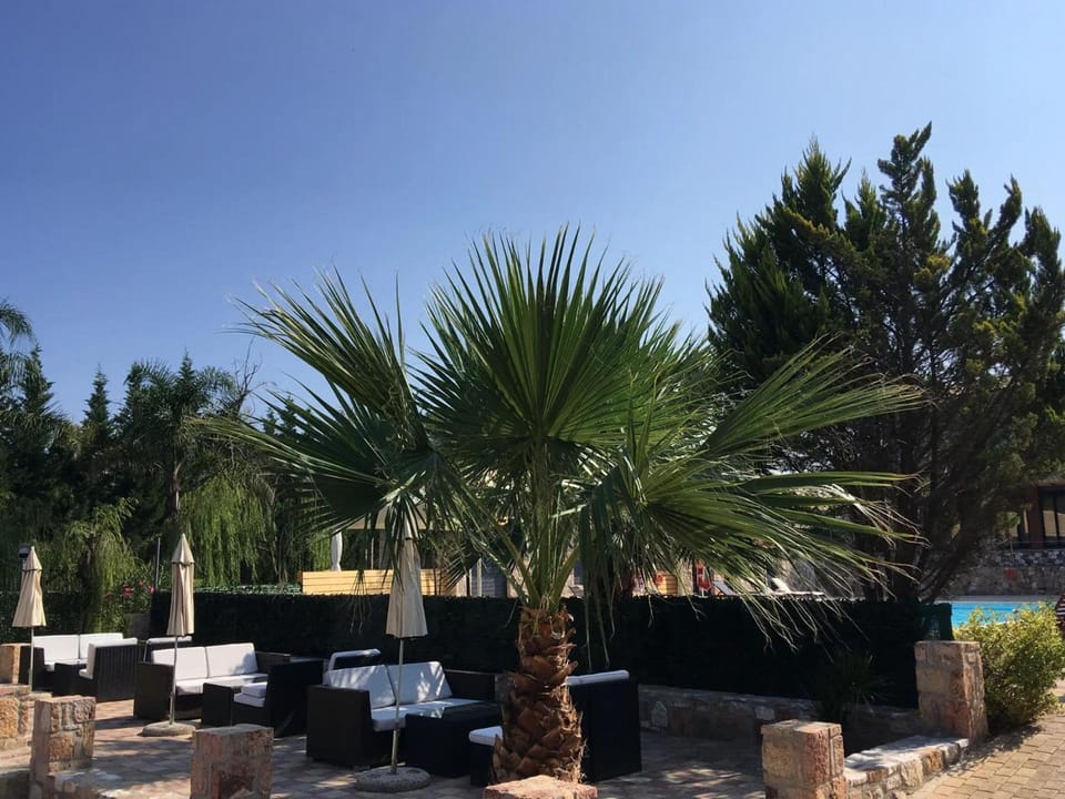 Almyra Holiday Village Hotel in Euboea