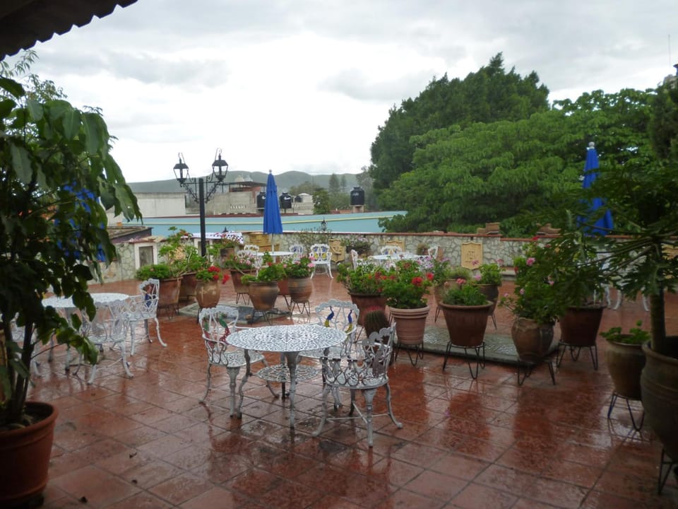 Hotel Casa Arnel Hotel in Oaxaca