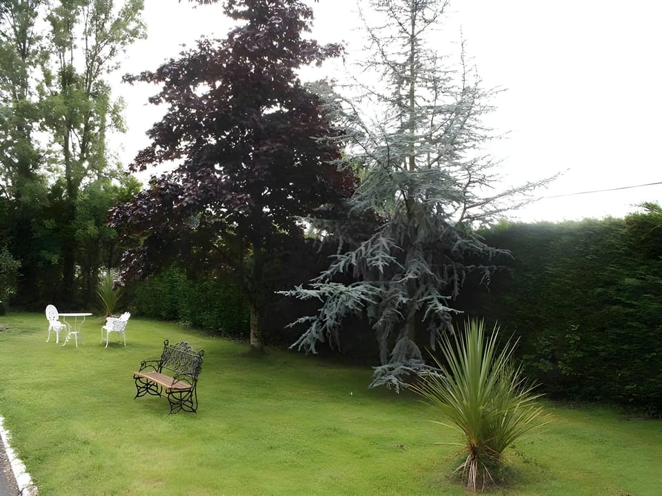 Shannon Breeze B&B Hotel in County Clare