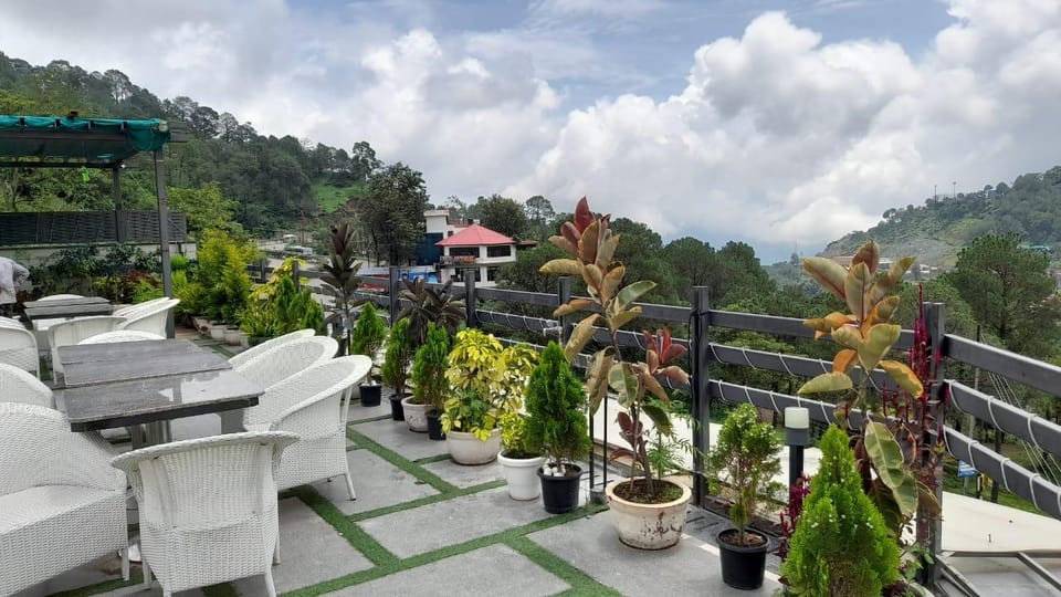 View