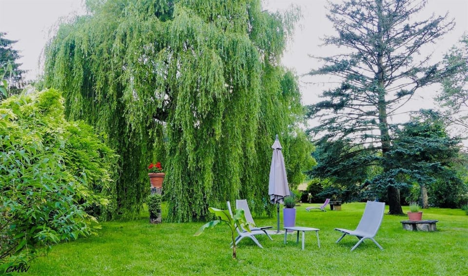 Hotel du Roy Hotel in Bourgogne-Franche-Comté