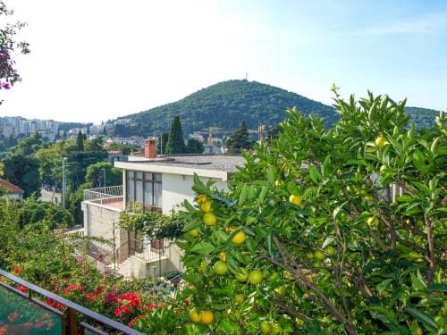 Rooms Carpe Diem Hotel in Dubrovnik