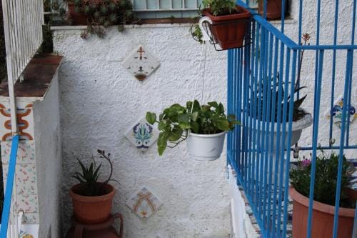 Maya guest house Hotel in Campania